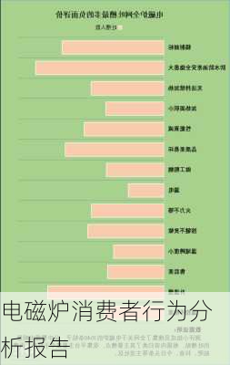 电磁炉消费者行为分析报告