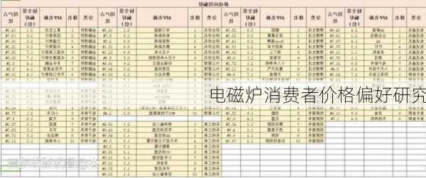 电磁炉消费者价格偏好研究