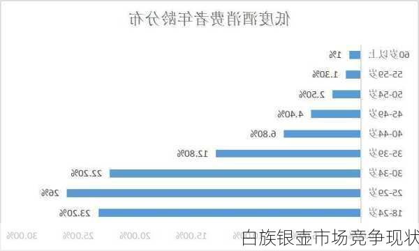 白族银壶市场竞争现状