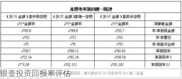 银壶投资回报率评估