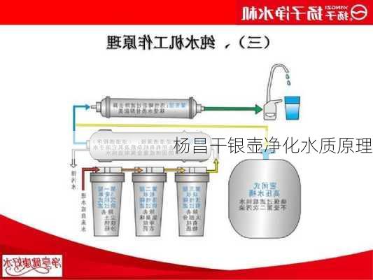 杨昌干银壶净化水质原理