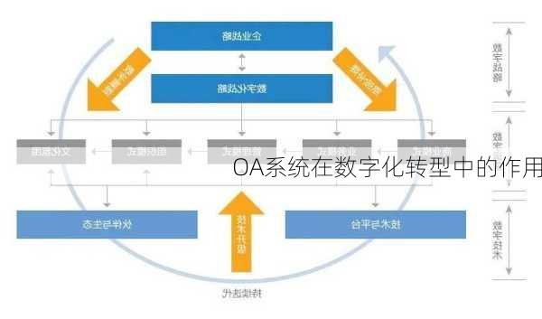 OA系统在数字化转型中的作用