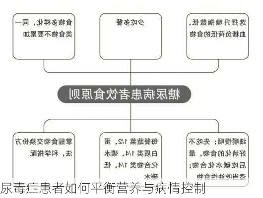 尿毒症患者如何平衡营养与病情控制