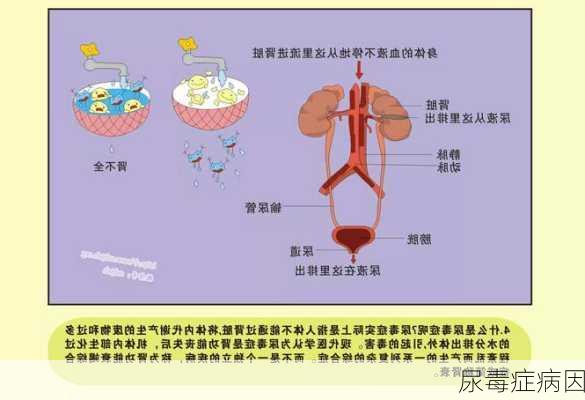 尿毒症病因