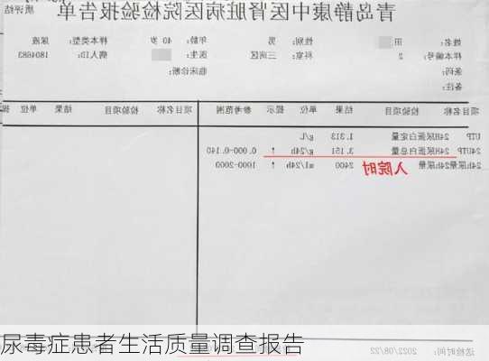 尿毒症患者生活质量调查报告