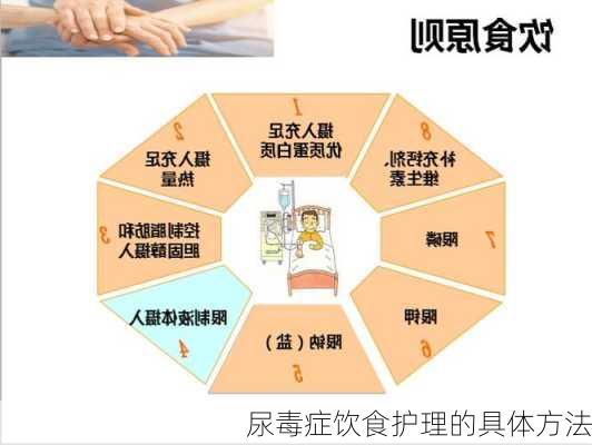 尿毒症饮食护理的具体方法