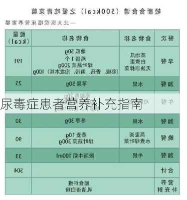 尿毒症患者营养补充指南