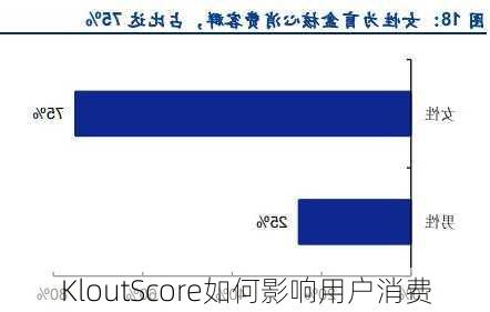 KloutScore如何影响用户消费