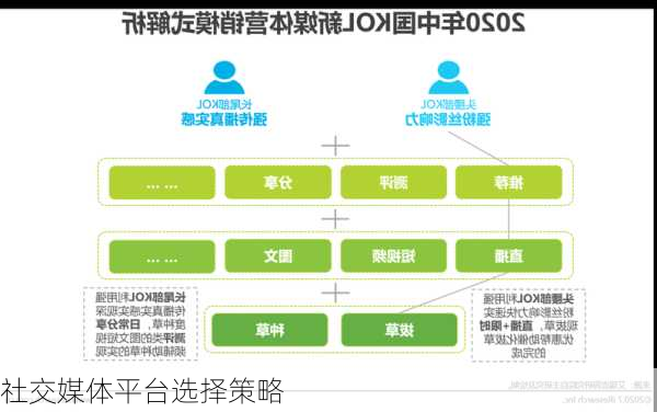 社交媒体平台选择策略