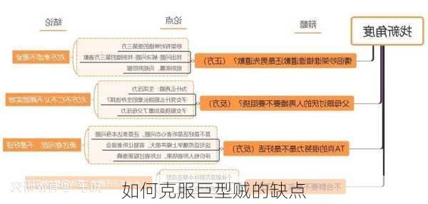 如何克服巨型贼的缺点