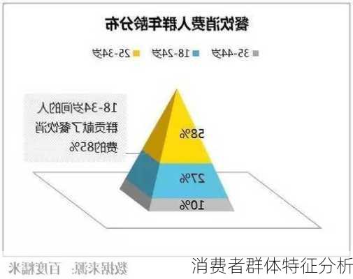 消费者群体特征分析