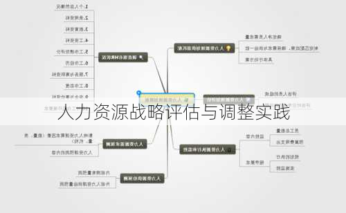 人力资源战略评估与调整实践