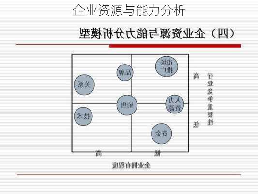 企业资源与能力分析