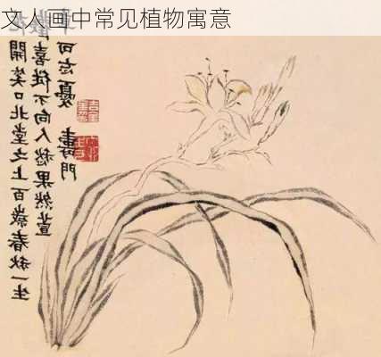 文人画中常见植物寓意