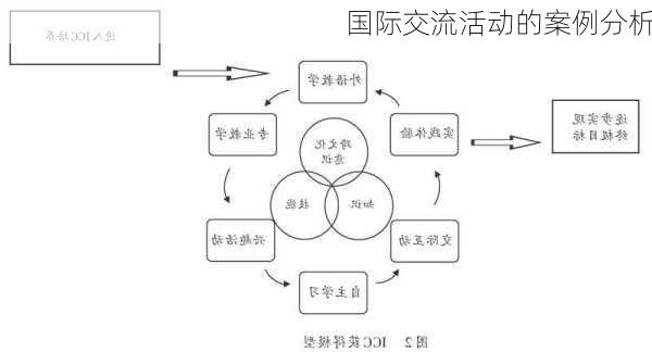 国际交流活动的案例分析