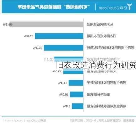 旧衣改造消费行为研究