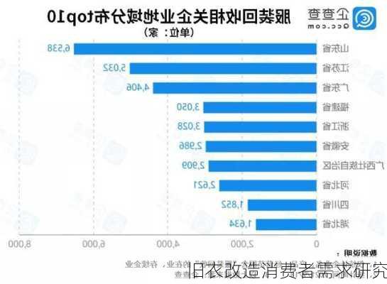 旧衣改造消费者需求研究