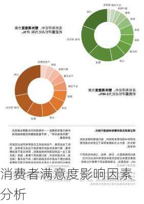 消费者满意度影响因素分析