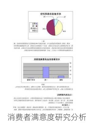 消费者满意度研究分析