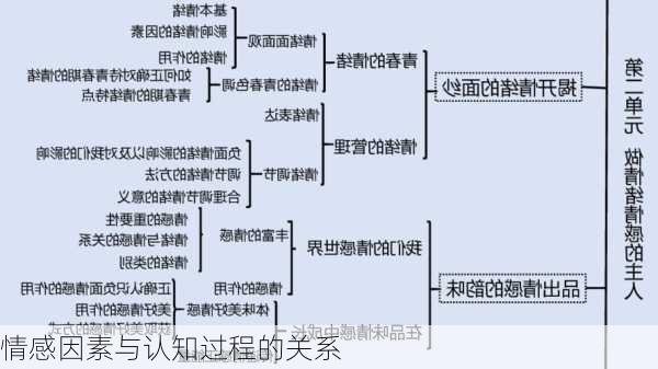 情感因素与认知过程的关系