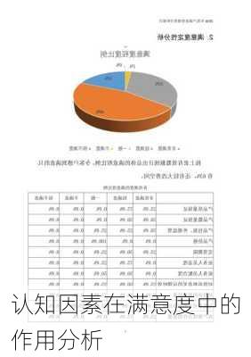 认知因素在满意度中的作用分析