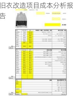 旧衣改造项目成本分析报告