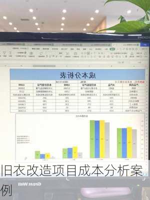 旧衣改造项目成本分析案例