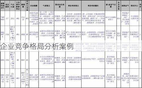 企业竞争格局分析案例