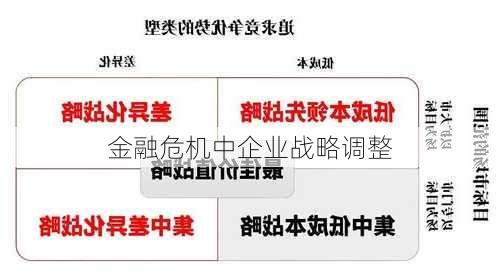 金融危机中企业战略调整