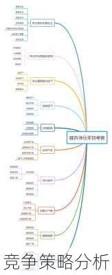 竞争策略分析