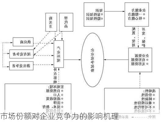 市场份额对企业竞争力的影响机理