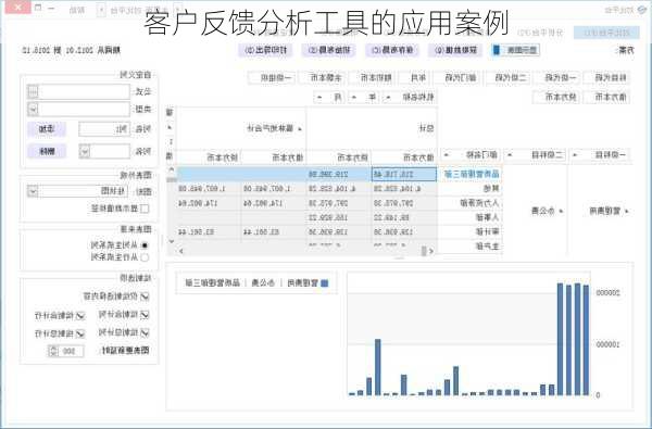 客户反馈分析工具的应用案例