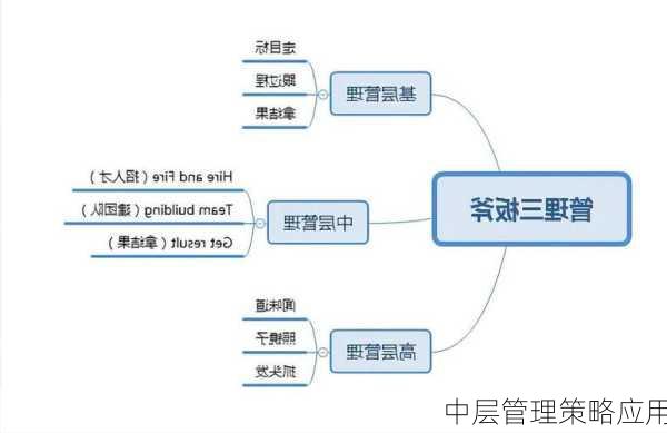 中层管理策略应用