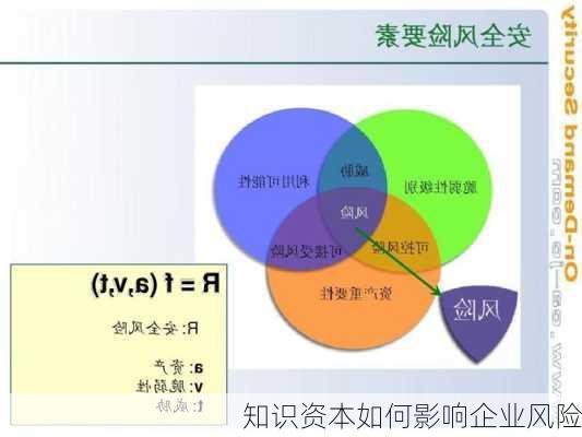 知识资本如何影响企业风险