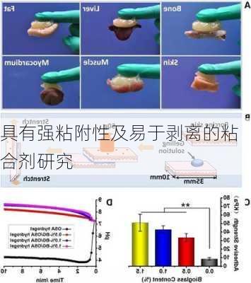 具有强粘附性及易于剥离的粘合剂研究