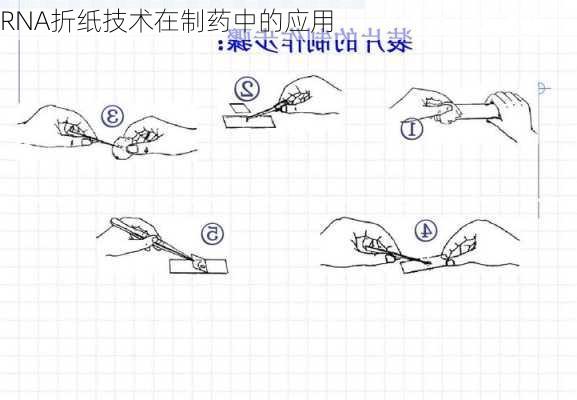 RNA折纸技术在制药中的应用