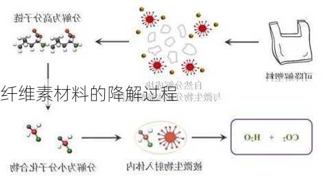 纤维素材料的降解过程