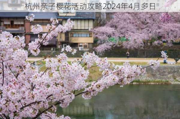 杭州亲子樱花活动攻略2024年4月多日