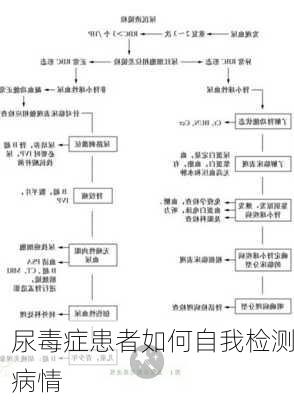 尿毒症患者如何自我检测病情