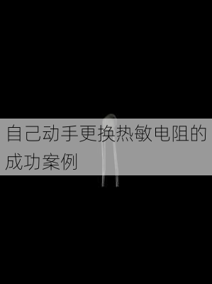 自己动手更换热敏电阻的成功案例