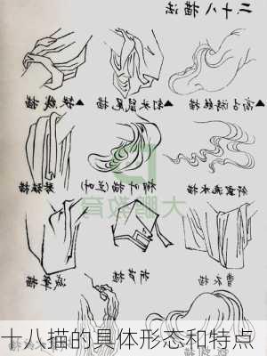 十八描的具体形态和特点