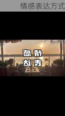 情感表达方式