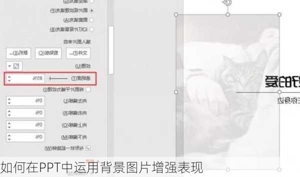 如何在PPT中运用背景图片增强表现