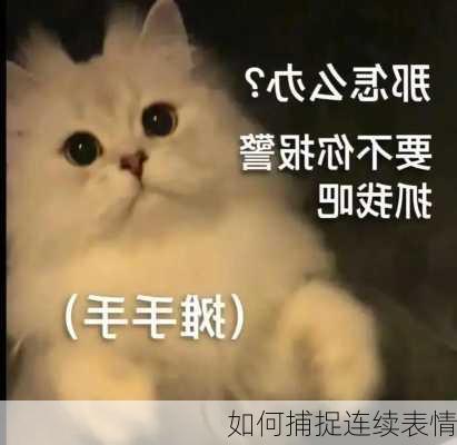 如何捕捉连续表情