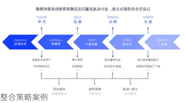 整合策略案例