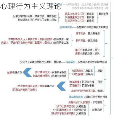 心理行为主义理论