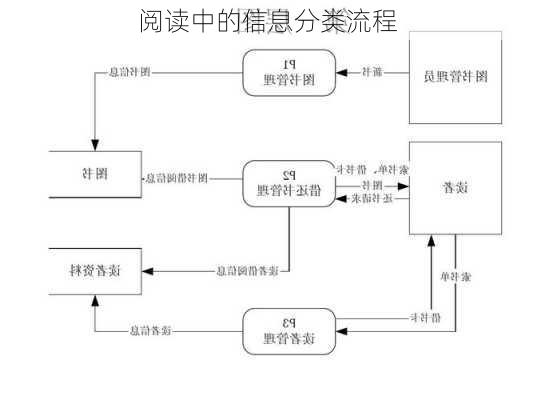 阅读中的信息分类流程