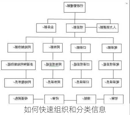 如何快速组织和分类信息