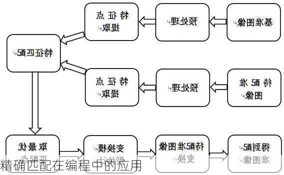 精确匹配在编程中的应用