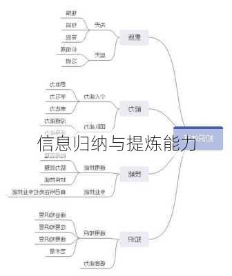 信息归纳与提炼能力